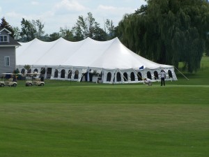 Canopy Tent- 40'x120'